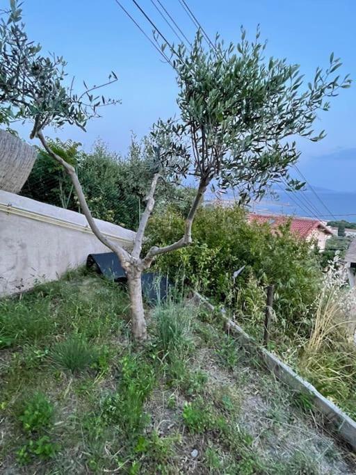 Superbe Terrasse Avec Vue Panoramique Sur La Mer Marsella Exterior foto